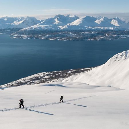 Вилла Lyngenfjord, Froyas Hus Olderdalen Экстерьер фото