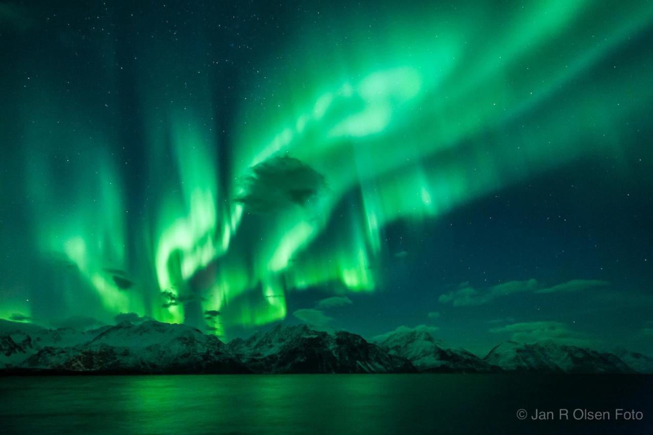 Вилла Lyngenfjord, Froyas Hus Olderdalen Экстерьер фото